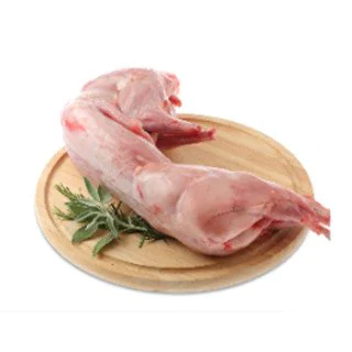 SOC.S.GREG.CONIGLIO.INTERO FR.