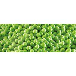 IMPERATORE PISELLI FINISS.# IMPERATORE PISELLI FINISS.#