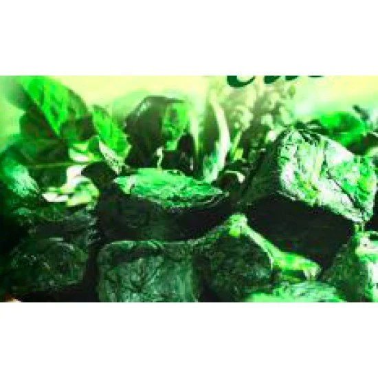 IMPERATORE SPINACI CUBETT.1 kg#