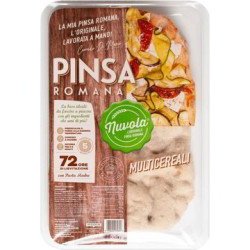 DI MARCO PINSA MULTICER.GR.230