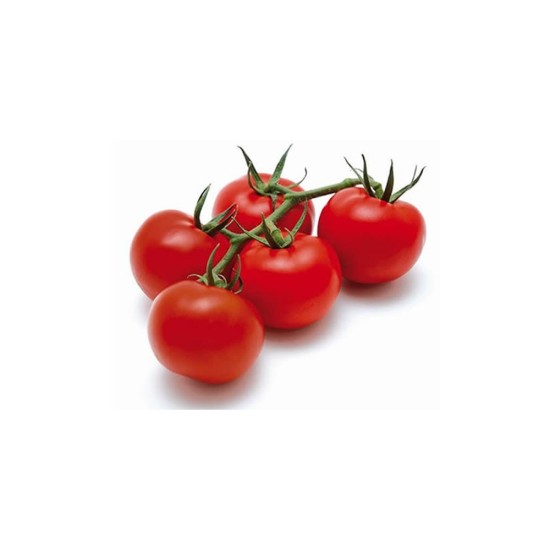 POMODORO CILIEGINO VASCHETTA 1 KG