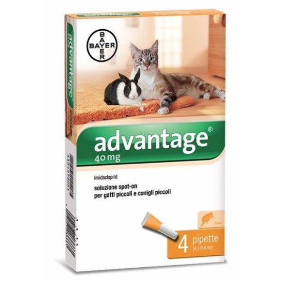 ADVANTAGE GATTI 40 FINO 4 KG.