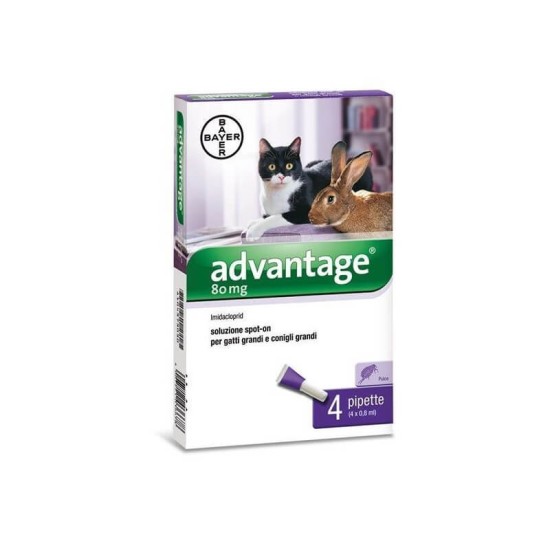 ADVANTAGE GATTI 80 + 4 KG.