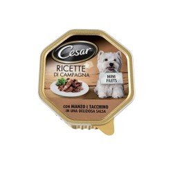 CESAR R.CAMP.MANZO/TACCH.GR150 CESAR R.CAMP.MANZO/TACCH.GR150