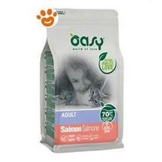 OASY DRY CAT SALMONE R