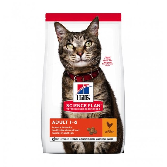 HILLS GATTO KITTEN POLLO 