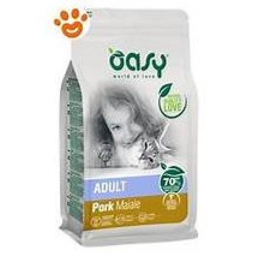 OASY DRY CAT MAIALE R