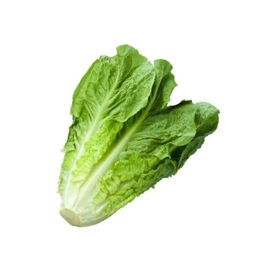 LATTUGA