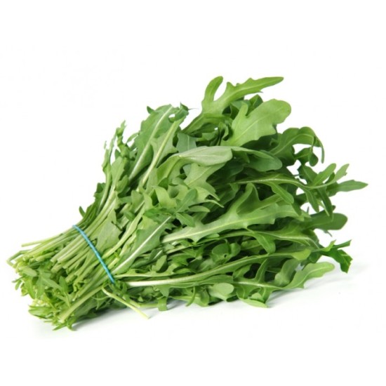 RUCOLA