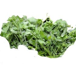 CAVOLICELLI CAVOLICELLI