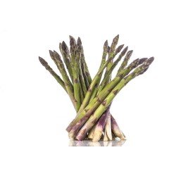 ASPARAGI COLTIVATI ASPARAGI COLTIVATI