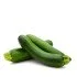 ZUCCHINE VERDI