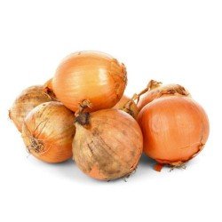 CIPOLLA DORATA CIPOLLA DORATA