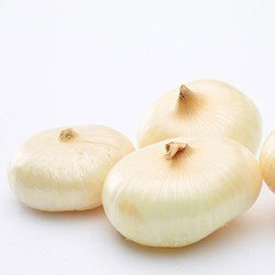 CIPOLLA BORETTANA CIPOLLA BORETTANA