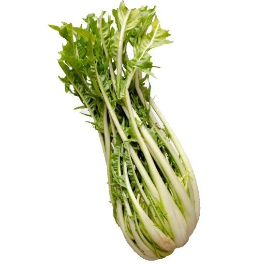 PUNTARELLE PUNTARELLE