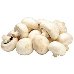 FUNGHI BIANCHI FUNGHI BIANCHI