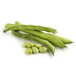 FAVE FRESCHE FAVE FRESCHE
