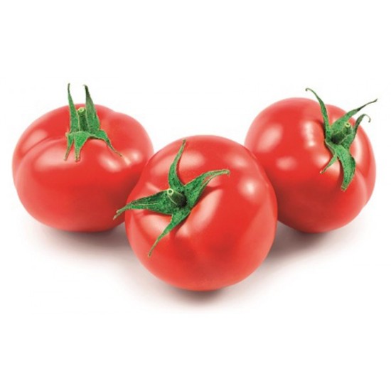 POMODORO TONDO SALSA