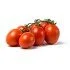 POMOD. OVETTO