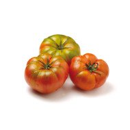 POMOD. INS. NOSTRANO