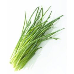 ERBA CIPOLLINA VASSOIO