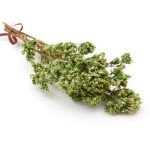 ORIGANO