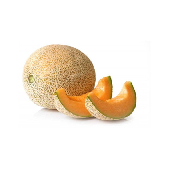 CANTALUPO MANUELITO