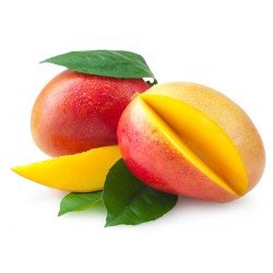 MANGO MANGO
