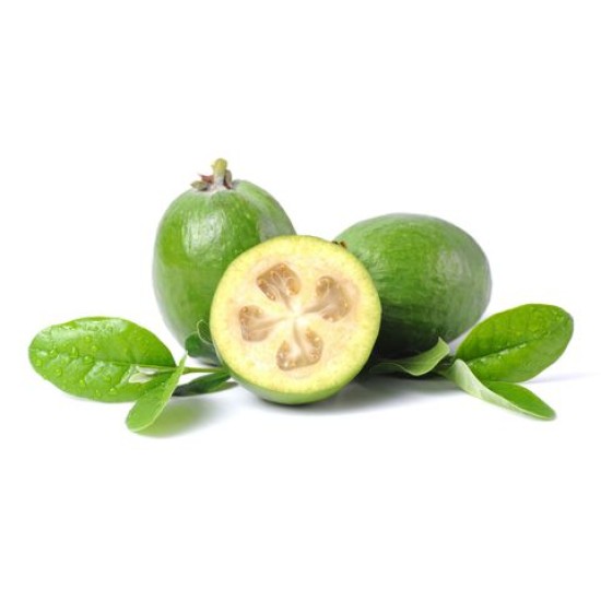 FEIJOIE