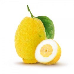 CEDRI CEDRI