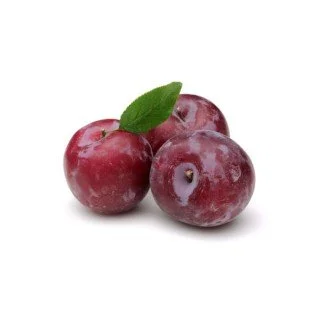 SUSINE SUSINE