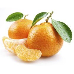 CLEMENTINE SENZA SEMI