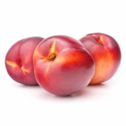 NETTARINE NETTARINE