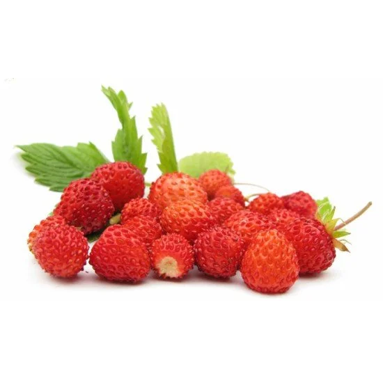 FRAGOLINE
