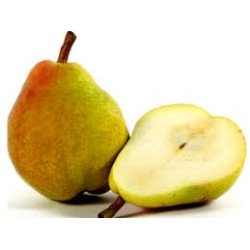 PERE BUTIRRE PERE BUTIRRE