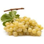 UVA BIANCA SENZA SEMI