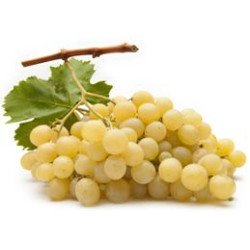 UVA BIANCA SENZA SEMI