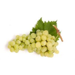 UVA BIANCA UVA BIANCA