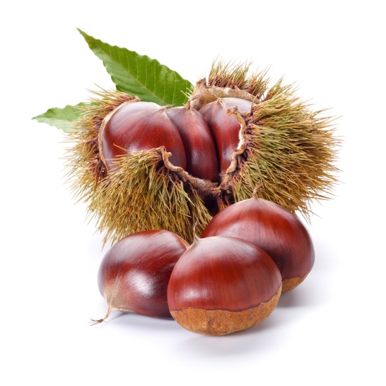 CASTAGNE