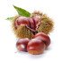CASTAGNE