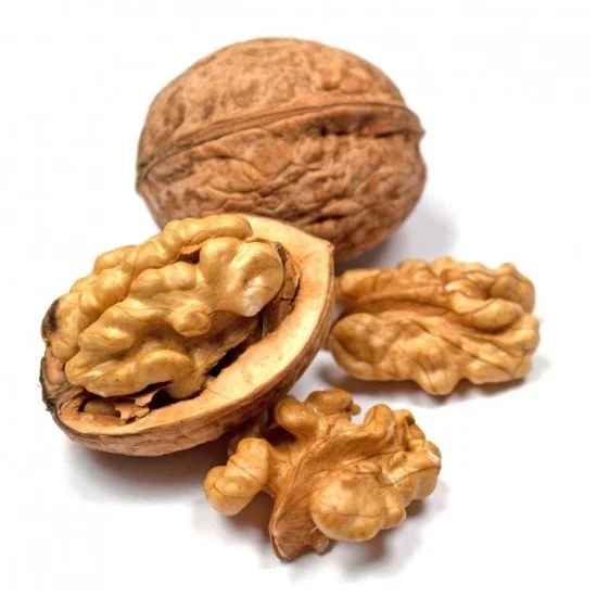NOCI