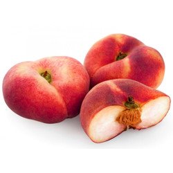 PESCHE TABACCHIERE PESCHE TABACCHIERE