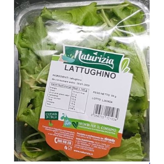 INSALATA NATURIZIA LATTUGHINO 80g