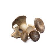 FUNGHI CARDONCELLI conf gr. 400