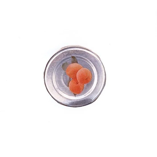 CONF EXTRA ALBICOCCHE COLUMBUS MONODOSI VETRO N. 48 X GR 28 CONF EXTRA ALBICOCCHE COLUMBUS MONODOSI VETRO N. 48 X GR 28