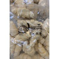 CROISSANT CREMA 20 PZ SURGELATI