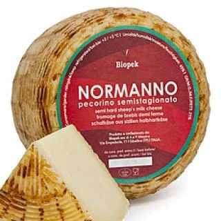 IL “NORMANNO”