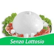 MOZZARELLA DI BUFALA SENZA LATTOSIO