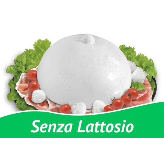 MOZZARELLA DI BUFALA SENZA LATTOSIO