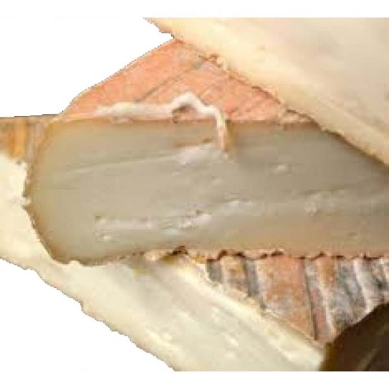 TALEGGIO DOP